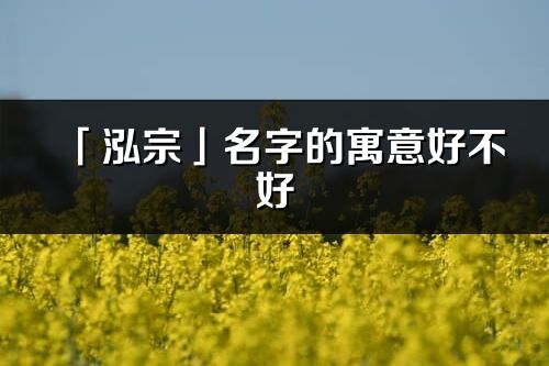 「泓宗」名字的寓意好不好_泓宗含義分析