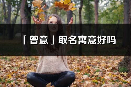 「曾意」取名寓意好嗎_曾意名字含義及五行