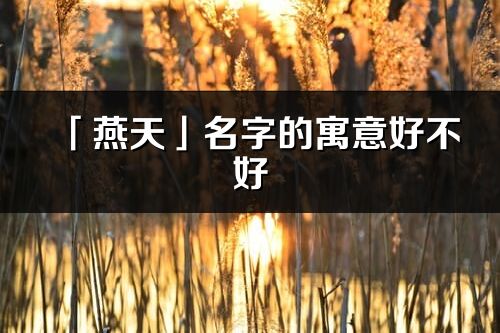 「燕天」名字的寓意好不好_燕天含義分析