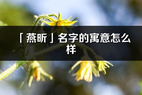 「燕昕」名字的寓意怎么樣_燕昕的出處