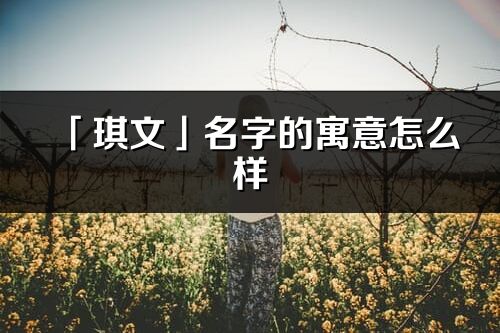 「琪文」名字的寓意怎么樣_琪文的出處