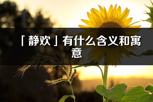 「靜歡」有什么含義和寓意_靜歡名字的出處與意思