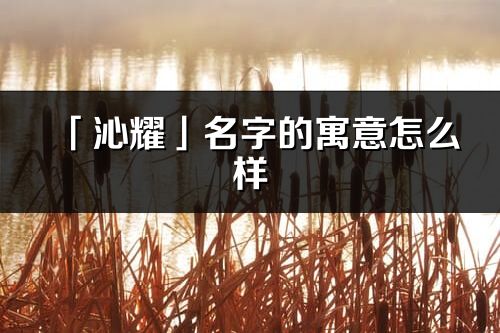 「沁耀」名字的寓意怎么樣_沁耀的出處