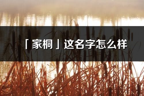 「家桐」這名字怎么樣_家桐的名字解釋