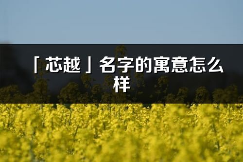 「芯越」名字的寓意怎么樣_芯越的出處