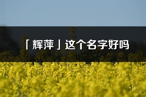 「輝萍」這個名字好嗎_輝萍名字寓意,含義