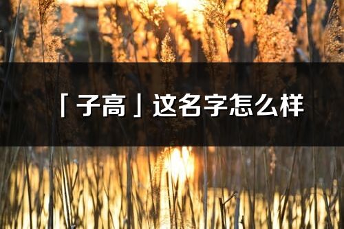 「子高」這名字怎么樣_子高的名字解釋