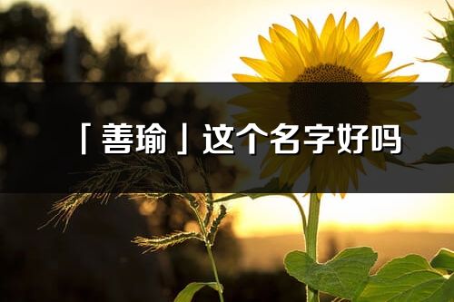 「善瑜」這個名字好嗎_善瑜名字寓意,含義