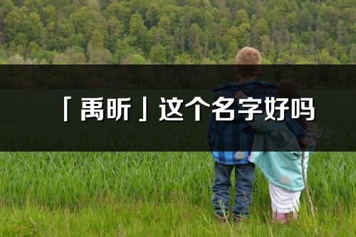 「禹昕」這個名字好嗎_禹昕名字寓意,含義