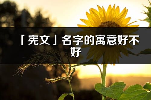 「憲文」名字的寓意好不好_憲文含義分析