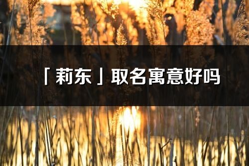 「莉東」取名寓意好嗎_莉東名字含義及寓意