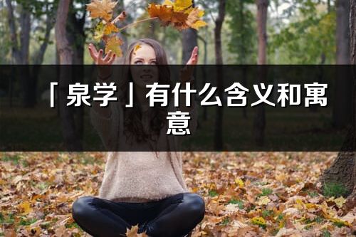 「泉學」有什么含義和寓意_泉學名字的出處與意思