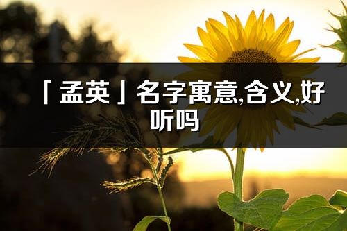 「孟英」名字寓意,含義,好聽嗎_孟英名字分析打分