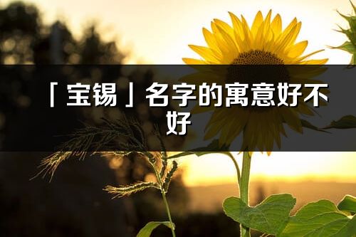 「寶錫」名字的寓意好不好_寶錫含義分析