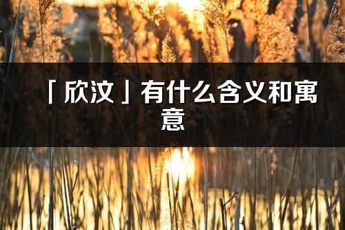 「欣汶」有什么含義和寓意_欣汶名字的出處與意思