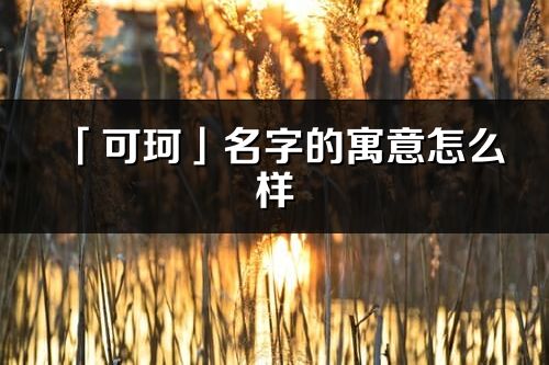 「可珂」名字的寓意怎么樣_可珂的出處