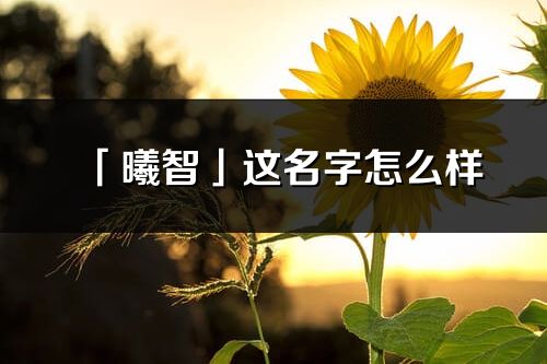 「曦智」這名字怎么樣_曦智的名字解釋