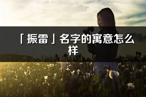 「振雷」名字的寓意怎么樣_振雷的出處