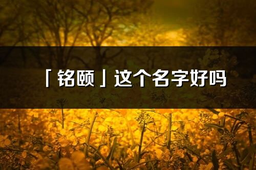 「銘頤」這個名字好嗎_銘頤名字寓意,含義