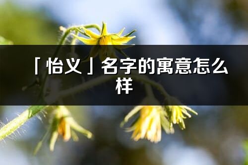 「怡義」名字的寓意怎么樣_怡義的出處