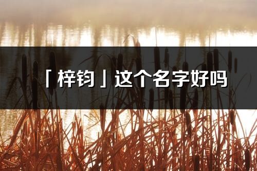 「梓鈞」這個名字好嗎_梓鈞名字寓意,含義