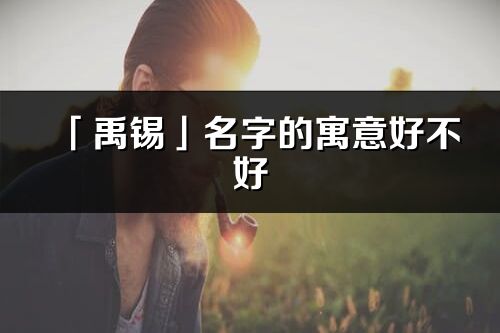 「禹錫」名字的寓意好不好_禹錫含義分析