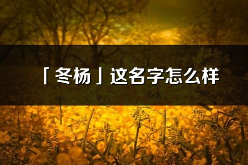 「冬楊」這名字怎么樣_冬楊的名字解釋