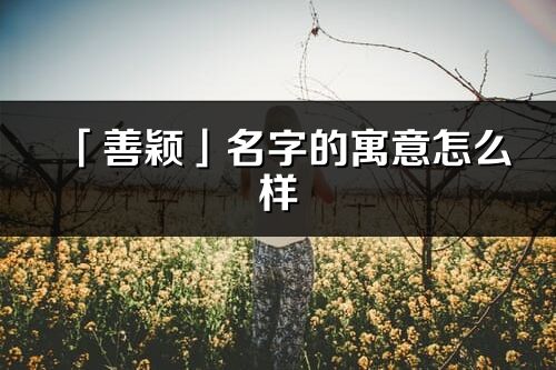 「善穎」名字的寓意怎么樣_善穎的出處