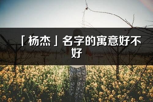 「楊杰」名字的寓意好不好_楊杰含義分析