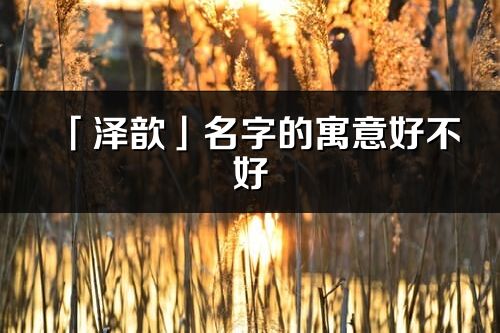 「澤歆」名字的寓意好不好_澤歆含義分析