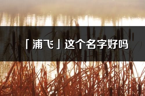 「浦飛」這個名字好嗎_浦飛名字寓意,含義