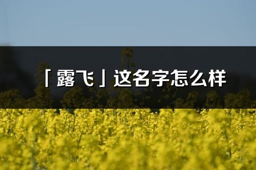 「露飛」這名字怎么樣_露飛的名字解釋