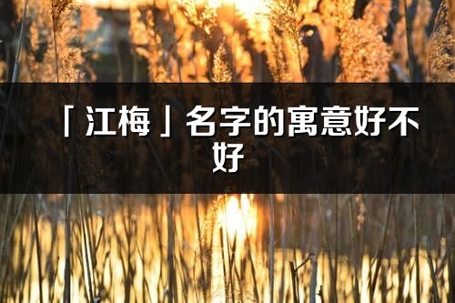 「江梅」名字的寓意好不好_江梅含義分析