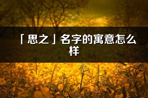 「思之」名字的寓意怎么樣_思之的出處