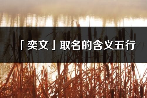 「奕文」取名的含義五行_奕文名字寓意解釋