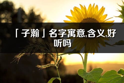 「子瀚」名字寓意,含義,好聽嗎_子瀚名字分析打分