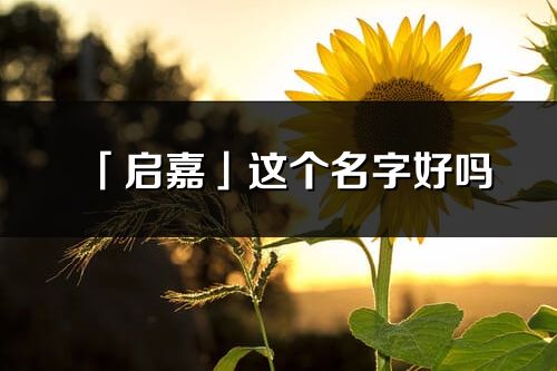 「啟嘉」這個名字好嗎_啟嘉名字寓意,含義