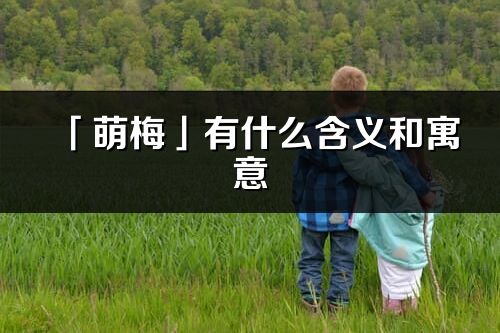 「萌梅」有什么含義和寓意_萌梅名字的出處與意思