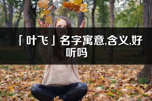 「葉飛」名字寓意,含義,好聽嗎_葉飛名字分析打分