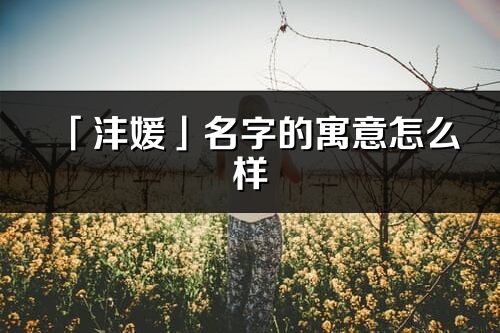 「灃媛」名字的寓意怎么樣_灃媛的出處