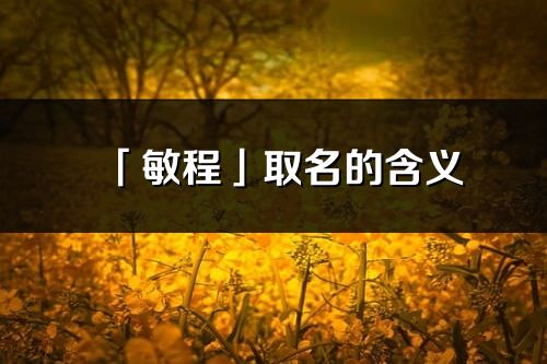 「敏程」取名的含義_敏程名字寓意解釋