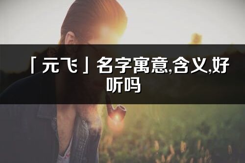 「元飛」名字寓意,含義,好聽(tīng)嗎_元飛名字分析打分