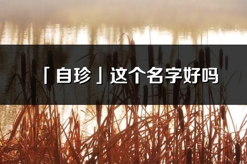 「自珍」這個(gè)名字好嗎_自珍名字寓意,含義