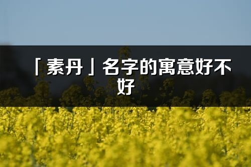 「素丹」名字的寓意好不好_素丹含義分析