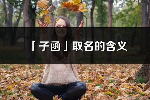 「子函」取名的含義_子函名字寓意解釋