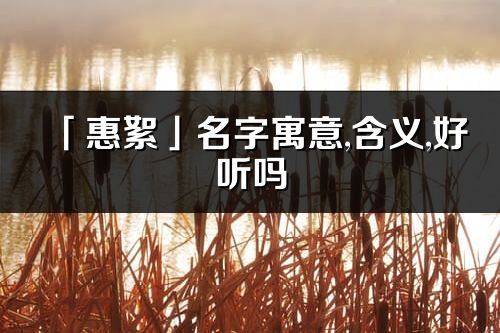 「惠絮」名字寓意,含義,好聽嗎_惠絮名字分析打分