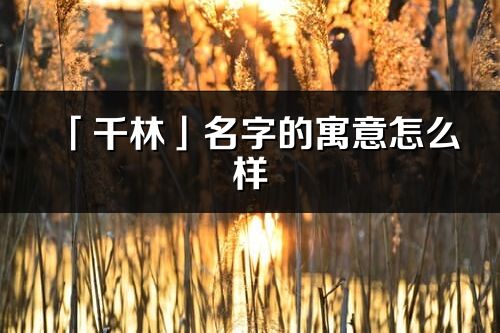 「千林」名字的寓意怎么樣_千林的出處