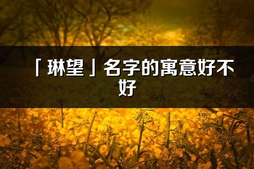 「琳望」名字的寓意好不好_琳望含義分析