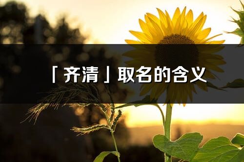 「齊清」取名的含義_齊清名字寓意解釋