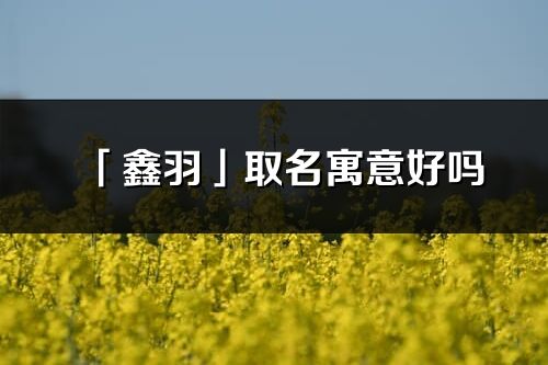 「鑫羽」取名寓意好嗎_鑫羽名字含義及五行